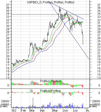   '' (Daily):  25  2002