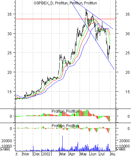   '' (Daily):  1  2002